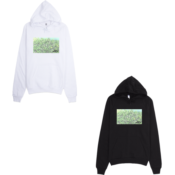 _slide.3.jpg pullover hoodie (b/w)